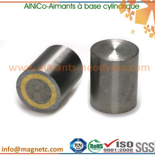 cylindres AlNiCo aimants en base avec corps en acier